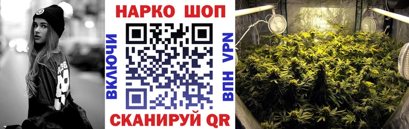 Купить закладку Марихуана МЕФ Alpha PVP ГАШ Можга