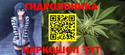 дурь Заволжье