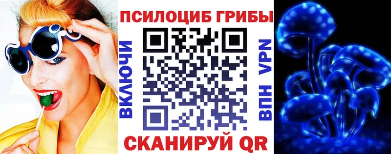 Галлюциногенные грибы Psilocybine cubensis  Купить  Можга 