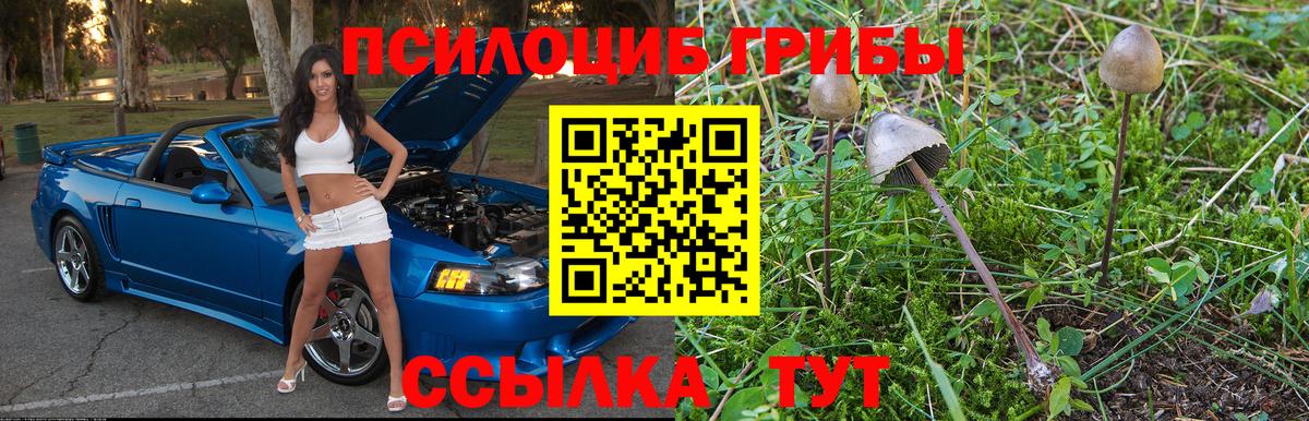 Галлюциногенные грибы прущие грибы  Можга  Псилоцибиновые грибы ЛСД 