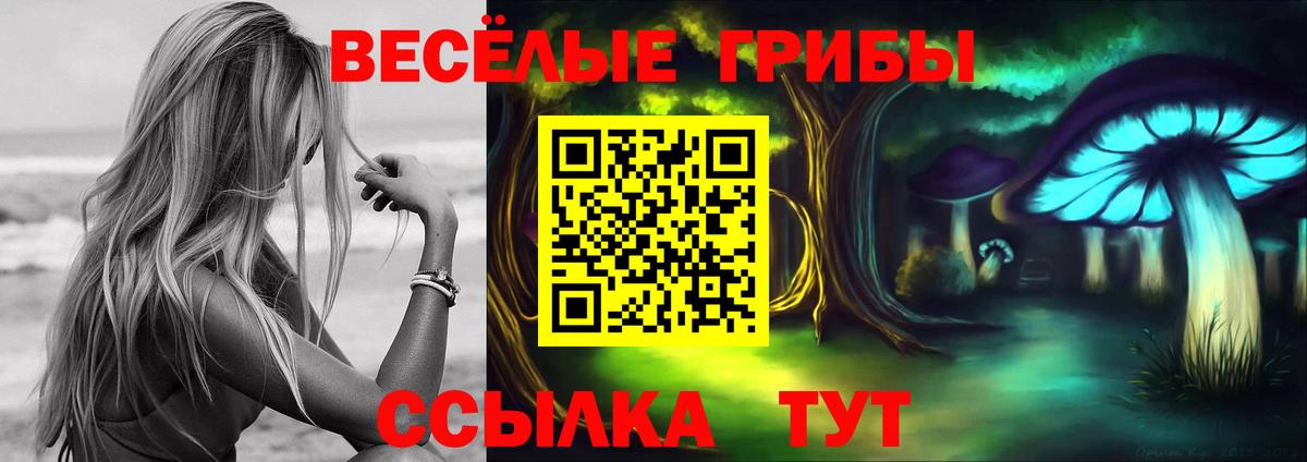 Псилоцибиновые грибы ЛСД Можга