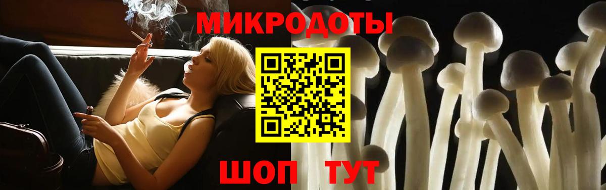 Можга  Галлюциногенные грибы MAGIC MUSHROOMS  Вход с VPN 